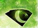 Mudasser's Avatar